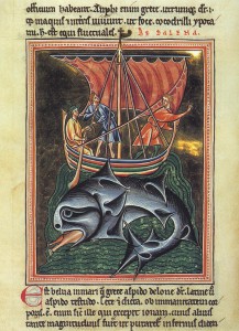 bestiary about whales