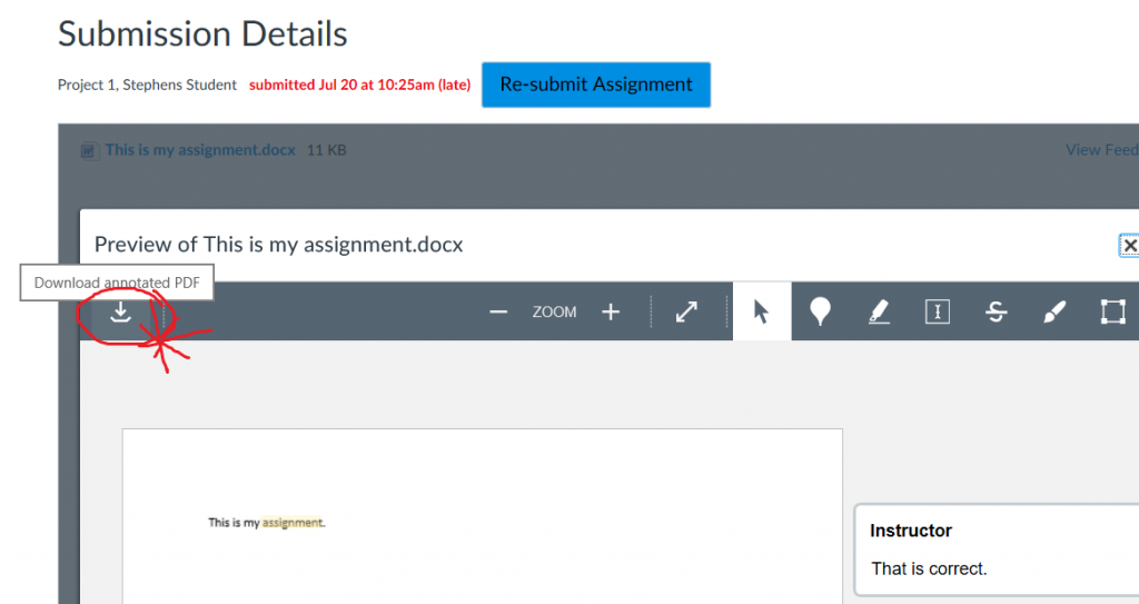 If students say in Canvas, “I can’t see the comments you made on my